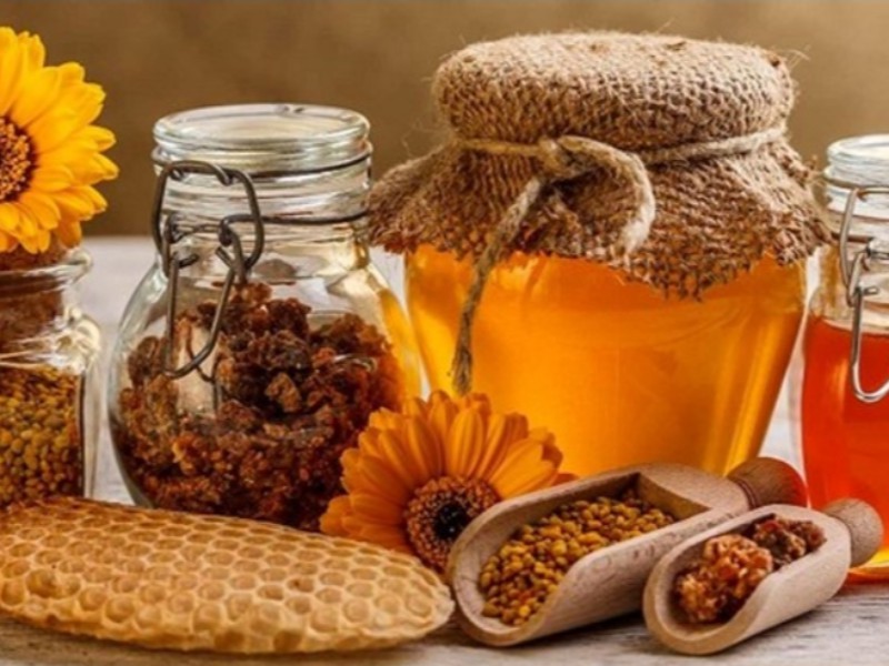 سالانه ۶۴۰ تن عسل در شهرستان ایلام تولید می شود