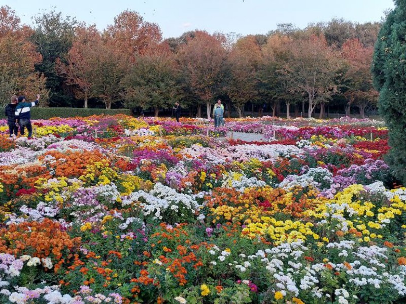 نمایی از باغ گیاه شناسی ایران