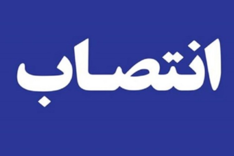 مدیرکل دفتر هماهنگی امور اقتصادی استانداری ایلام منصوب شد