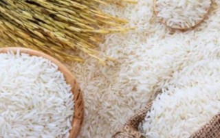 توزیع برنج در بین خانواده‌های نیازمند شهرستان ایلام