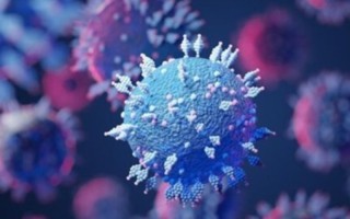 ۷۱ مورد جدید مبتلا به کرونا ویروس در ایلام