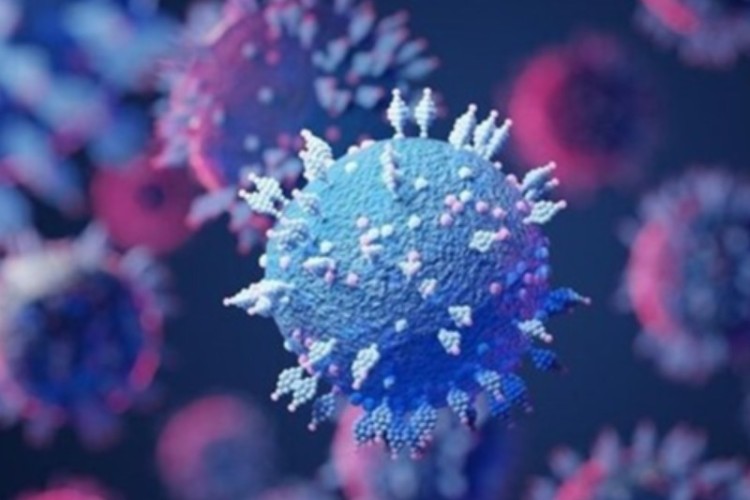 ۷۱ مورد جدید مبتلا به کرونا ویروس در ایلام