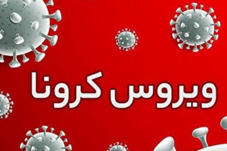 شناسایی ۲۶۶ مورد جدید مبتلا به کرونا ویروس در ایلام