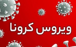 شناسایی ۳۳۹ مورد جدید مبتلا به کرونا ویروس در استان