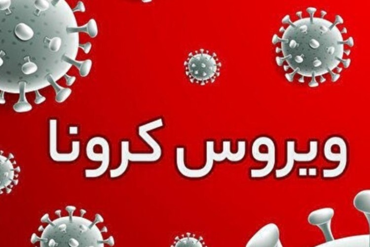 شناسایی ۳۳۹ مورد جدید مبتلا به کرونا ویروس در استان