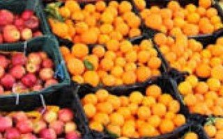 توزیع ۳٠٠ تن میوه طرح تنظیم بازار شب عید در ایلام