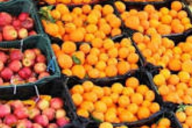 توزیع ۳٠٠ تن میوه طرح تنظیم بازار شب عید در ایلام