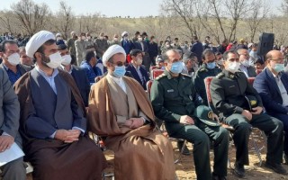 کاشت نهال در عرصه های جنگلی ایلام فرهنگ سازی شود