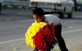 71 کودک کار در ایلام شناسایی و ساماندهی شدند