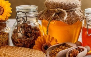 سالانه ۶۴۰ تن عسل در شهرستان ایلام تولید می شود