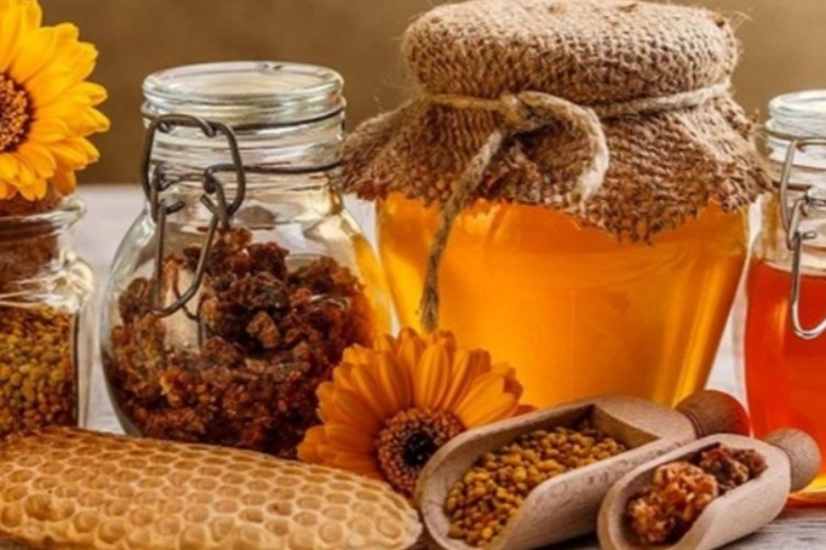 سالانه ۶۴۰ تن عسل در شهرستان ایلام تولید می شود