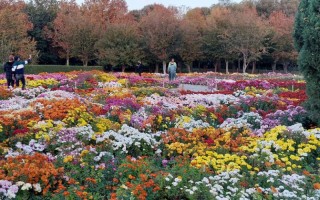 نمایی از باغ گیاه شناسی ایران