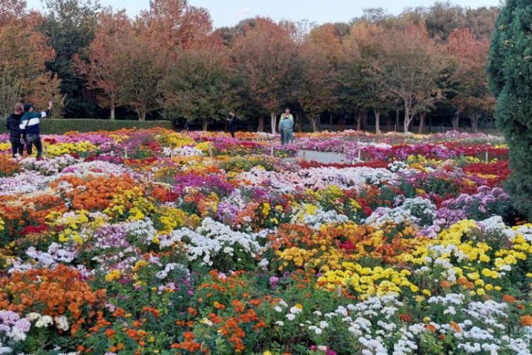 نمایی از باغ گیاه شناسی ایران