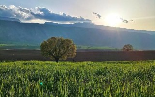 طبیعت بهشتی شهرستان سیروان + فیلم