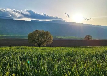 طبیعت بهشتی شهرستان سیروان + فیلم