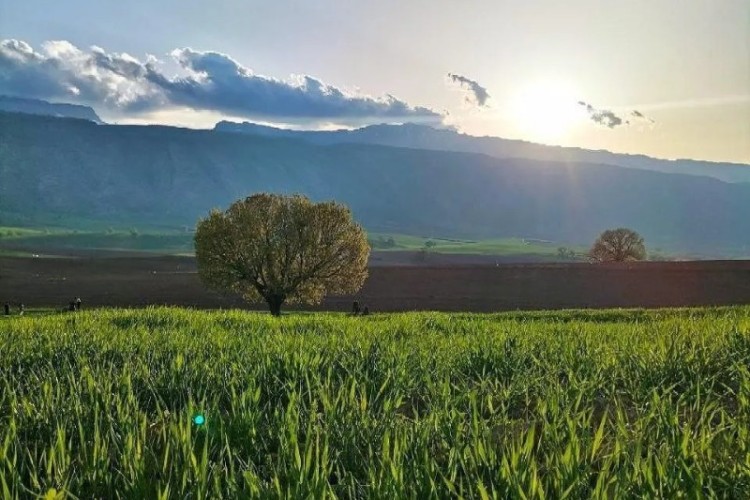 طبیعت بهشتی شهرستان سیروان + فیلم