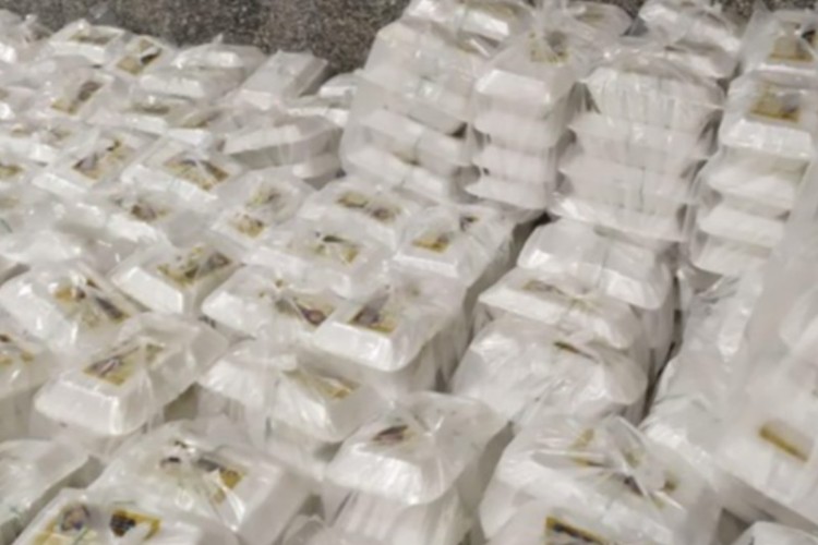 توزیع ۴۰۰ هزار پرس غذا در موکب های بنیاد احسان ایلام