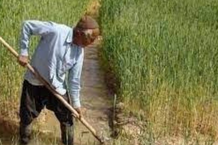 طرح «علمی کردن کشاورزی» لبخند را بر لبان کشاورزان ملکشاهی نشاند