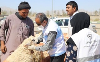 36 اکیپ بر ذبح دام عید قربان نظارت دارند