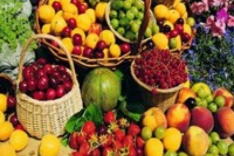 آغاز طرح نظارتی ویژه شب یلدا در ایلام/ گران فروشی را گزارش کنید